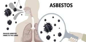How Long Does It Take Asbestos Exposure To Affect You